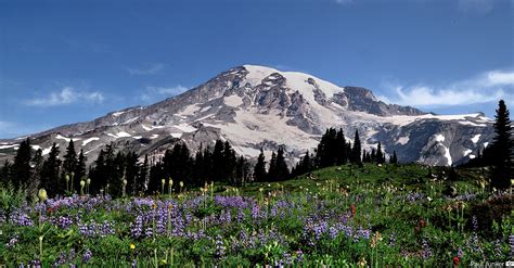 mt rainer webcams|Webcams Around The Mountain 